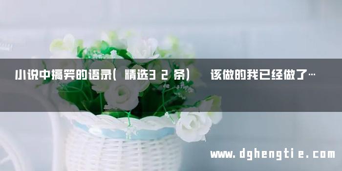小说中搞笑的语录（精选32条） 该做的我已经做了…